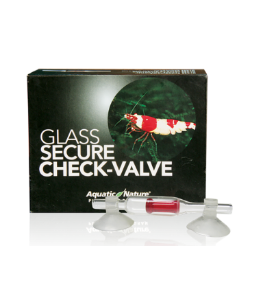 Secure Check-Valve