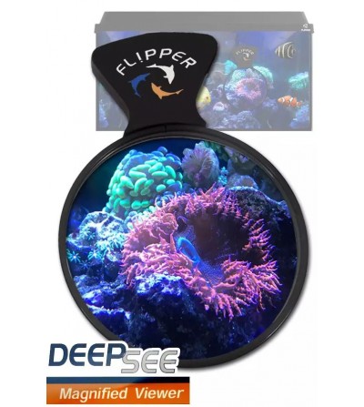 DeepSee Viewer FLIPPER - 4"