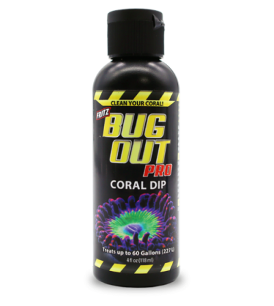 Fritz Bug Out   (DIP Corales)